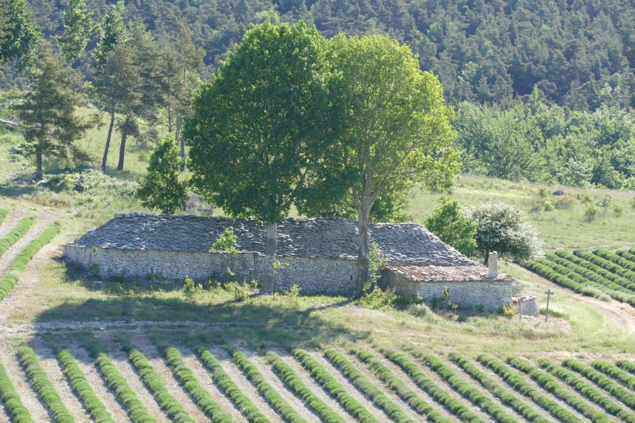 Bed and Breakfast Les Bois Rouges La Rochegiron Экстерьер фото